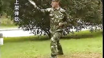 擒敌拳视频,一招一式展现中华武术精髓