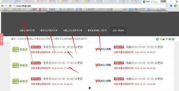免费网址视频,揭秘热门平台背后的精彩内容