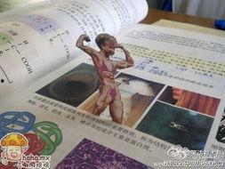 高一生物蛋白质讲解视频