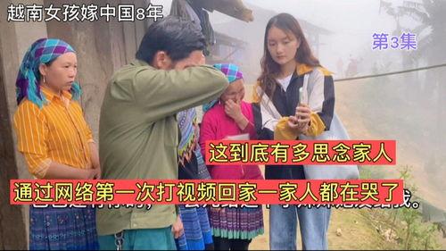 中国人在越南视频,文化交流与情感共鸣