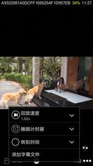 Pp视频看片,揭秘热门影视背后的精彩故事